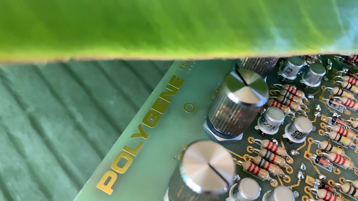 POLYGENE XK polyphonic synth – LA Priest