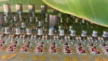 Load image into Gallery viewer, POLYGENE XK polyphonic synth
