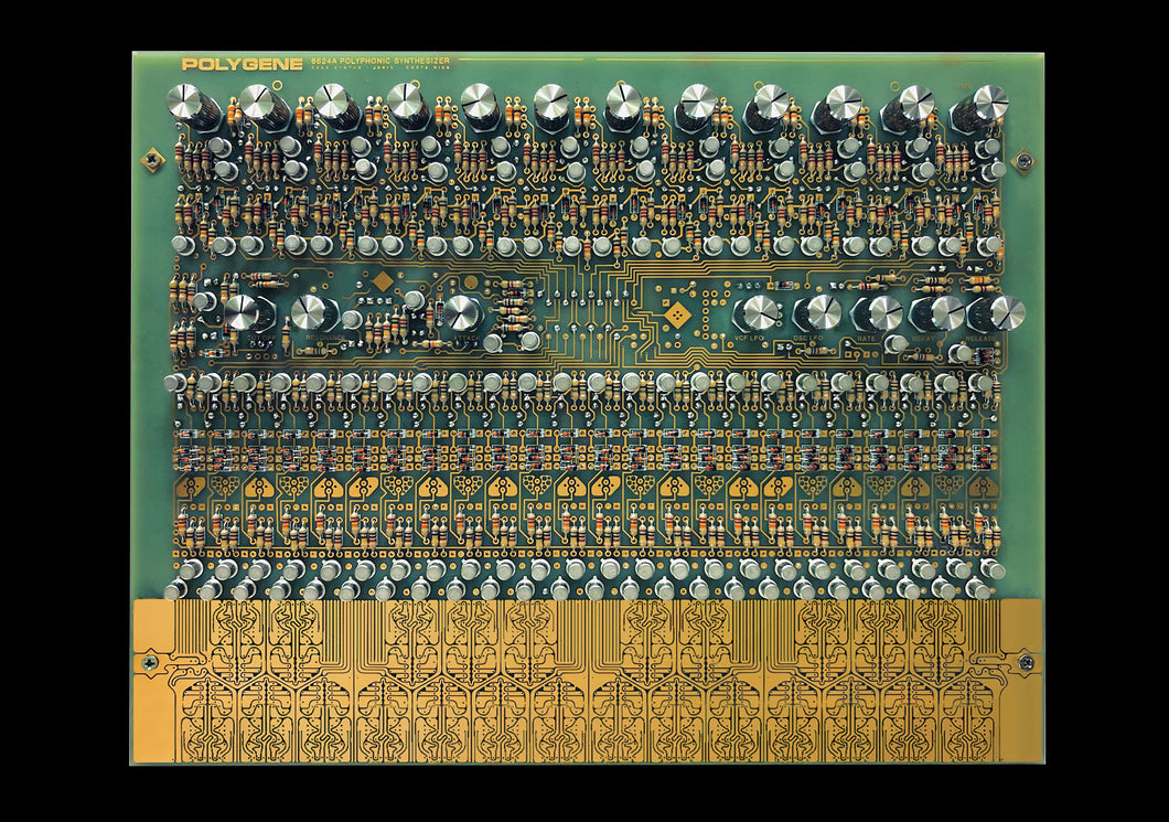 POLYGENE XK polyphonic synth